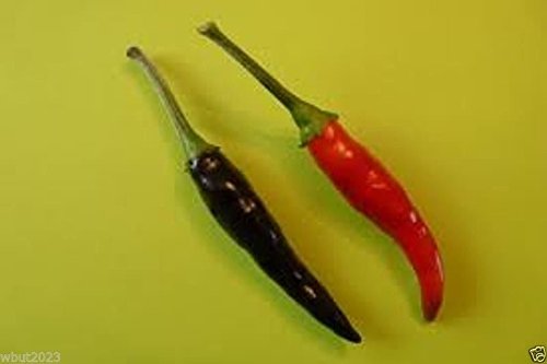 Organic Black Dragon Pepper Seeds - Rare Heirloom Variety from Vietnam (20 Seeds) - Perfect for Home Gardening, Spice Blends & Gourmet Cooking