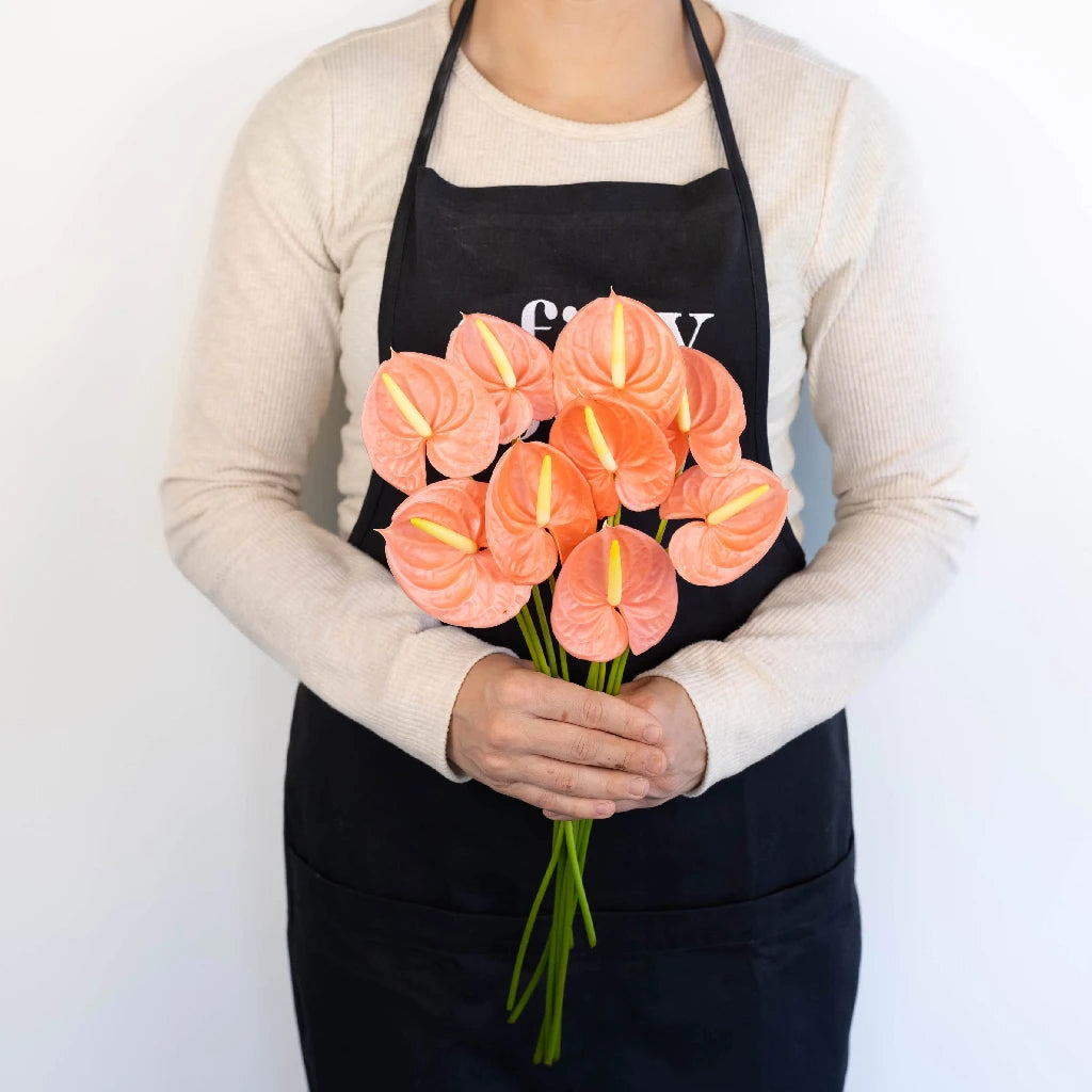 Anthurium Peach Tropical Flower - Exotic Live Plant for Home & Office Decor - Perfect for Indoor Gardens, Wedding Centerpieces, and Gift Ideas