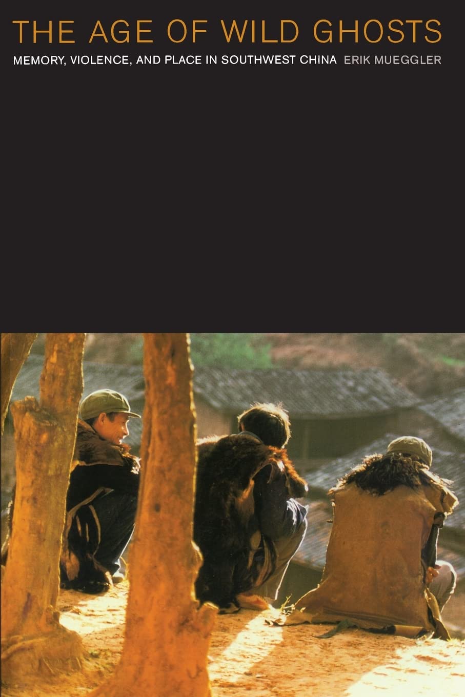 The Age of Wild Ghosts: Memory, Violence, and Place in Southwest China - Book on Cultural Anthropology & Regional History | Perfect for Academic Research & Asian Studies