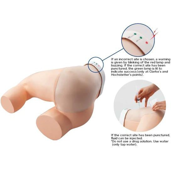 Gluteus Injection Trainer - Professional Medical Training Device for Safe Injection Practice | Ideal for Nursing Students, Healthcare Professionals & Self-Administration Training