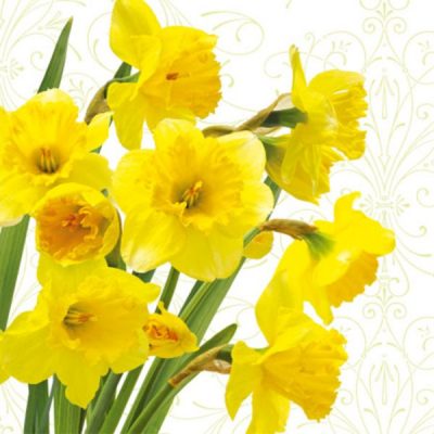 20 Pack Yellow Daffodil Floral Paper Lunch Napkins - Elegant Spring Table Decor for Parties, Picnics & Easter Celebrations