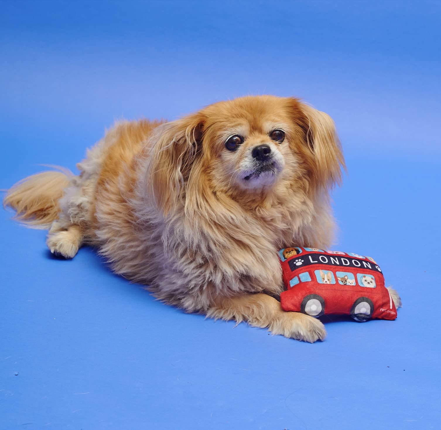 London Red Bus Dog Toy - Soft Plush British Routemaster Pet Toy (7 Inch) - Cute & Durable Chew Toy for Small & Medium Dogs - Perfect for Playtime, Training & Travel