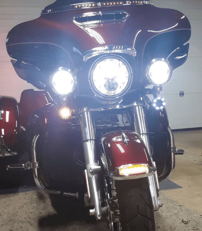 Eagle Lights 2