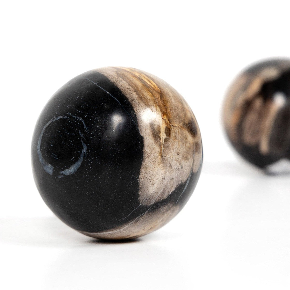 Natural Petrified Wood Balls Set of 3 - Dark Ancient Wood Spheres for Home Decor, Meditation & Feng Shui