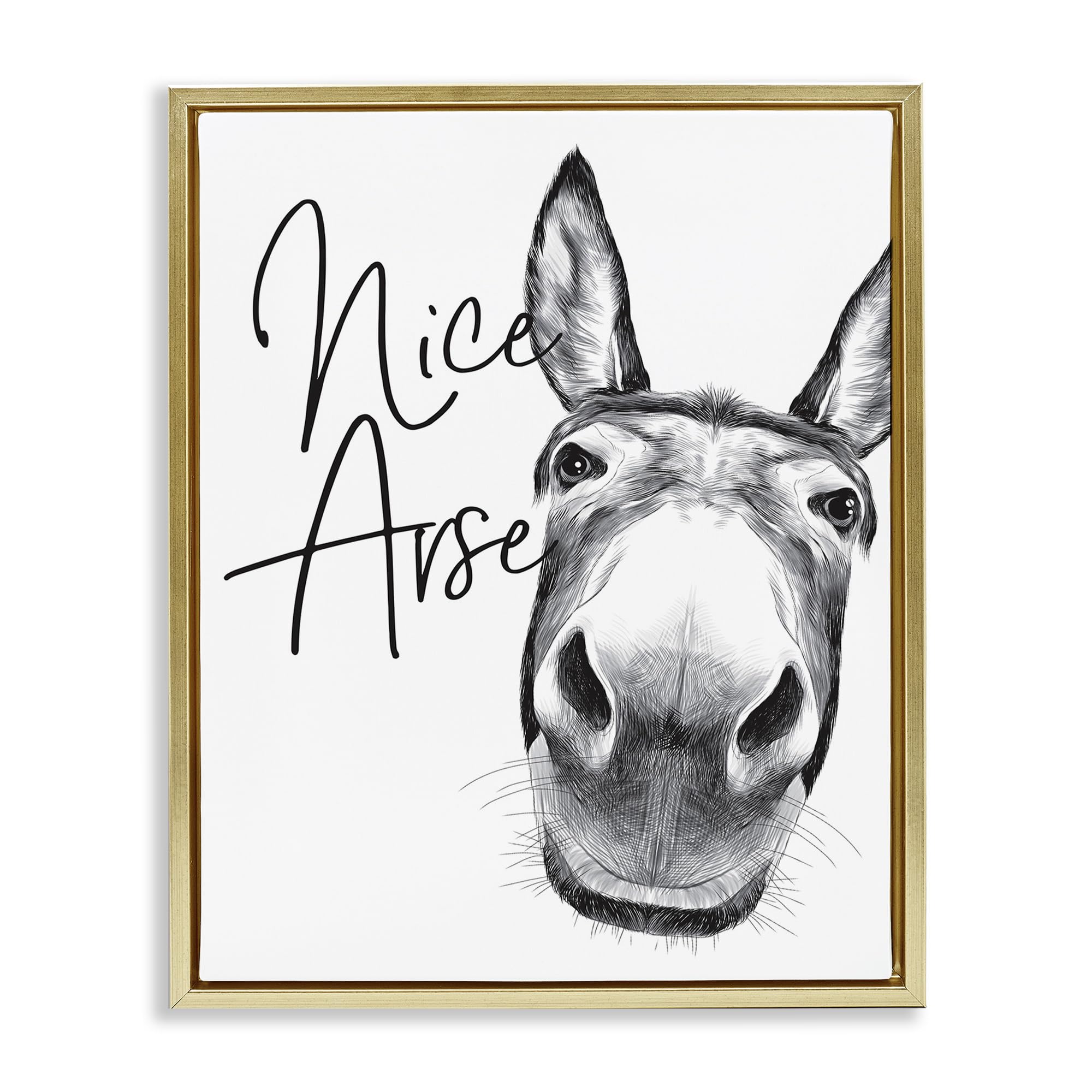 Stupell Industries Funny Donkey Wall Art - 'Nice Arse' Humorous Bathroom Decor with Floater Frame - Perfect for Farmhouse, Country Style or Funny Bathroom Signs - Designed by Lettered and Lined