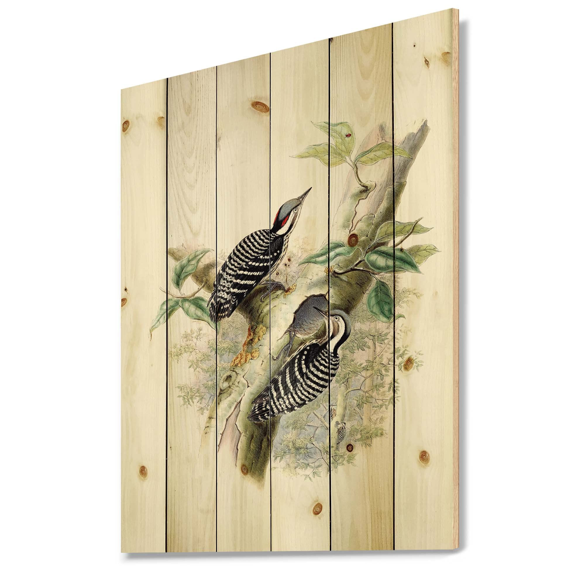 Vintage Birds in the Wild Traditional Wood Wall Decor - Green Wood Wall Art - Large Animal Wood Panels Printed on Natural Pine - Perfect for Living Room, Bedroom & Farmhouse Decor
