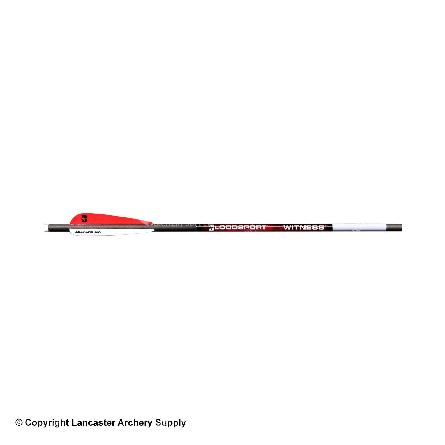 Bloodsport Witness Crossbow Arrows - High Performance Hunting Bolts for Target Practice & Outdoor Adventures