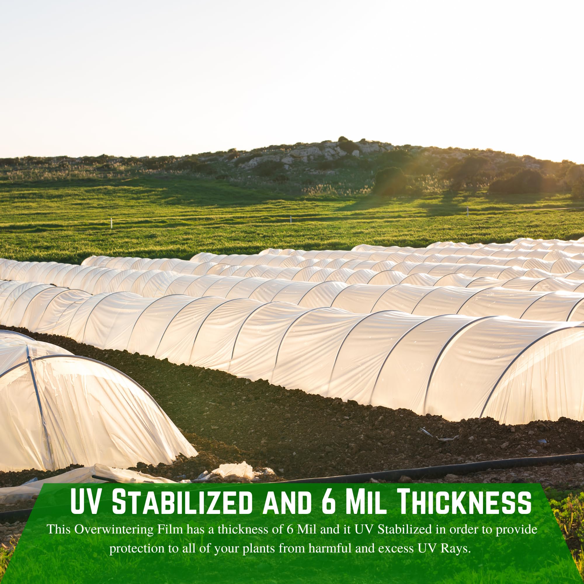 **6 Mil White Reinforced Plastic Sheeting - Heavy Duty Greenhouse Film, Overwintering Cover, Durable Farm & Garden Protection (10' x 100') - Ideal for Crop Protection, Greenhouse Roofing & Winter Plant Shelter**