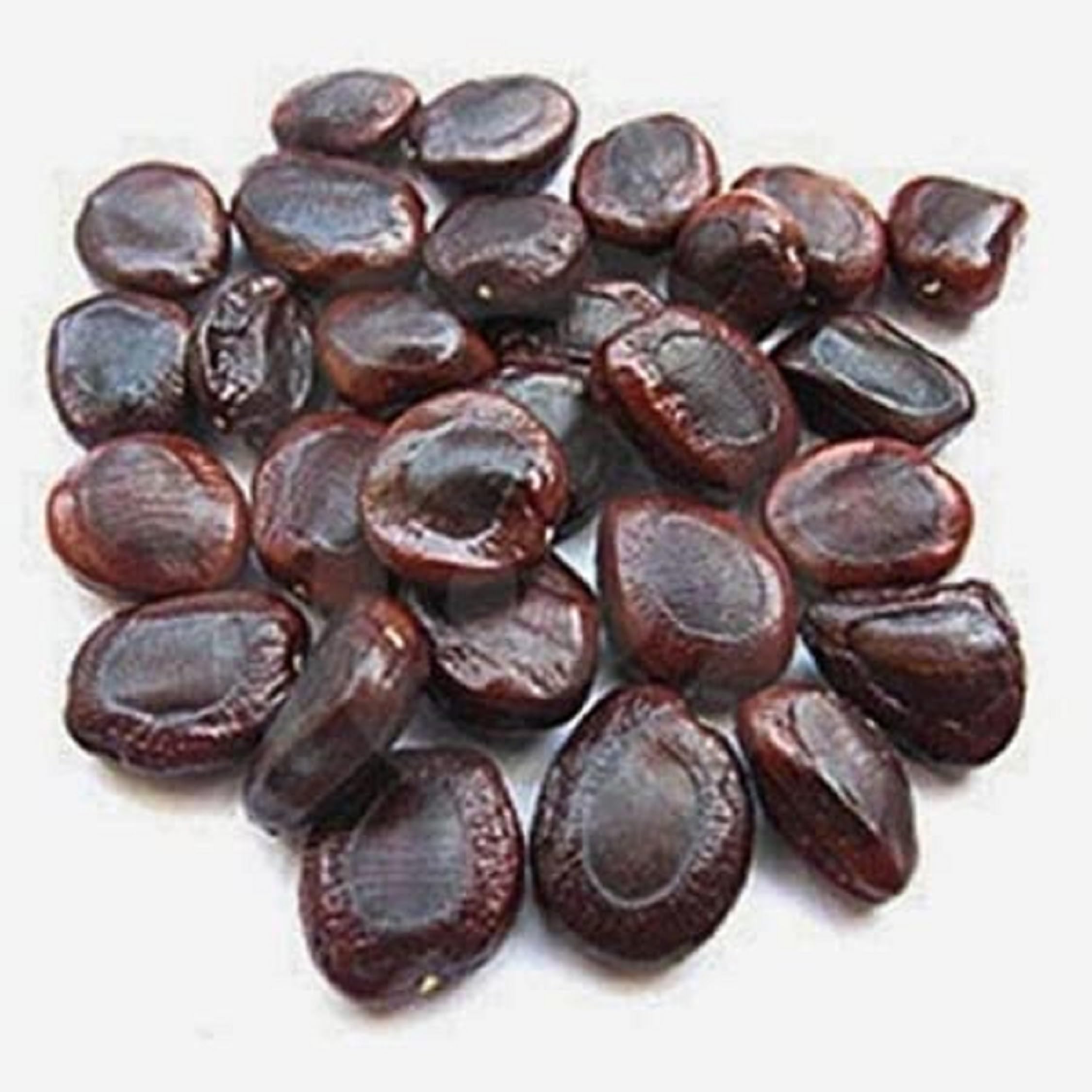 Organic Tamarind Seeds (Imli Beej) - 100% Natural, Non-GMO, Chemical-Free - 1kg Bulk Pack for Cooking, Herbal Remedies & Planting - Perfect for Indian Cuisine, Ayurvedic Medicine & Home Gardening