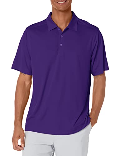 College Purple