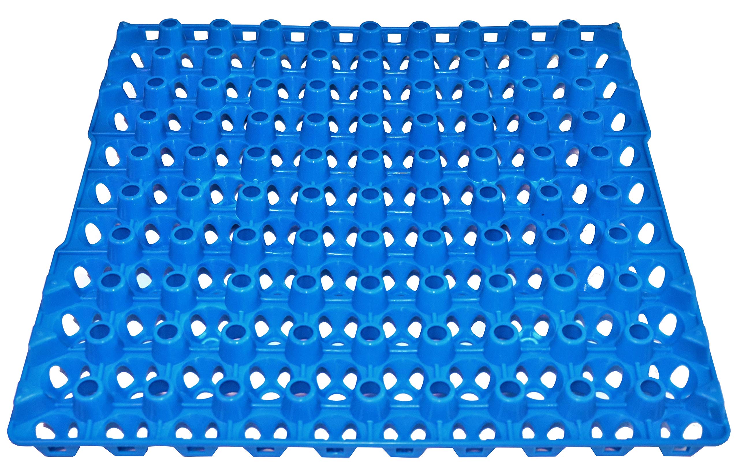 90 Egg Plastic Trays for Quail Pigeon Dove Birds - Durable Reusable Egg Cartons for Poultry Farm, Hatching & Bird Nesting - Perfect for Small Farms, Backyard Coops & Aviculture Enthusiasts