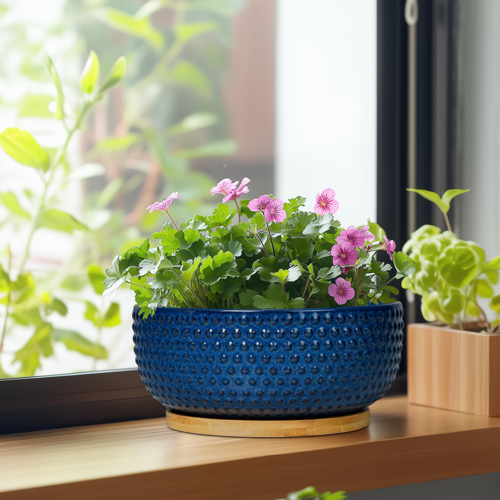 8 Inch Ceramic Bonsai Pots with Drainage Hole & Saucer - Modern Round Planter for Succulent Plants, Bonsai Trees, Indoor House Decor - Perfect Gift for Women & Men (Blue) - Ideal for Home, Office, and Garden Decorations