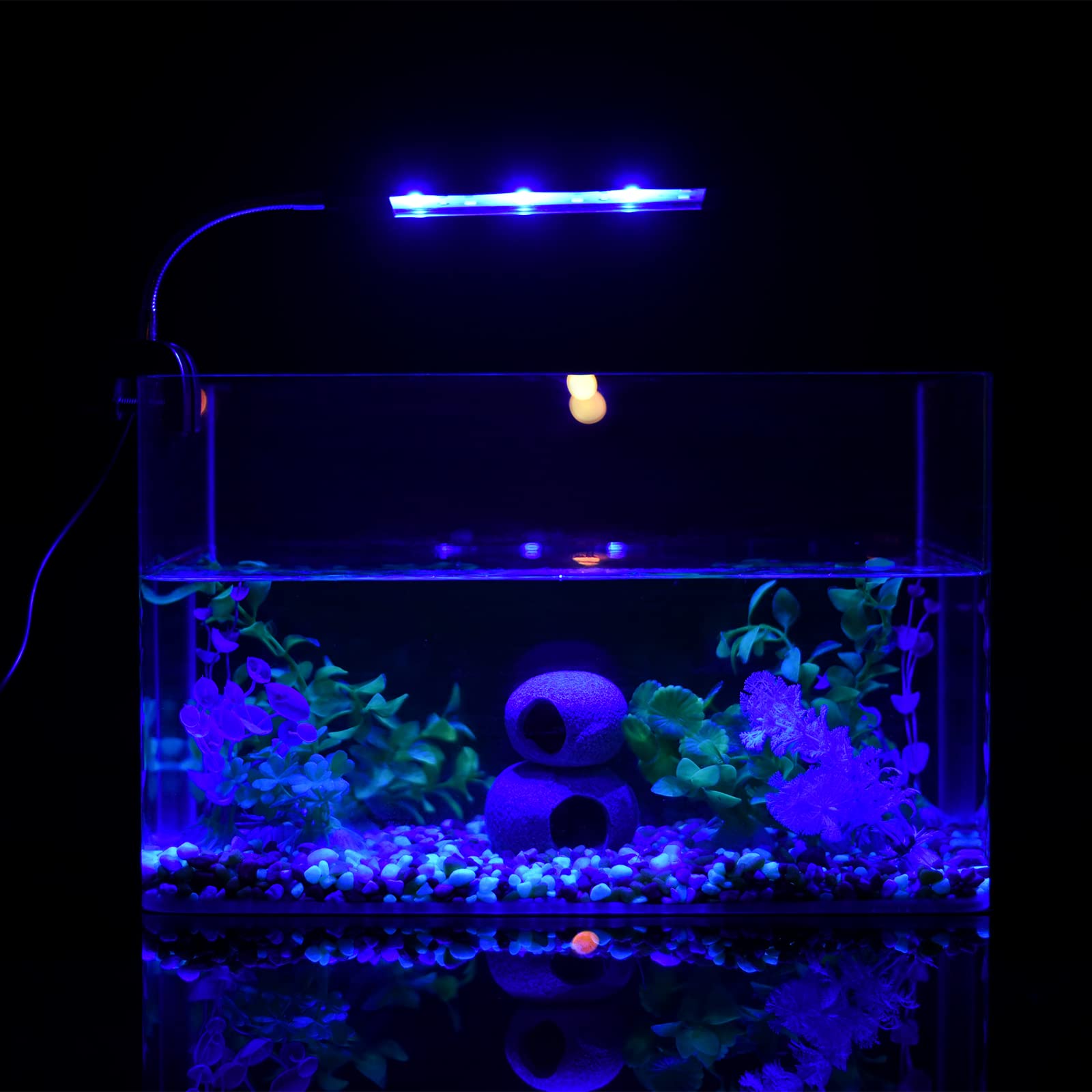 5 Gallon LED Aquarium Light with Timer & Dimmer - Clip-On Fish Tank Light for Plants, White Blue Red LEDs (7W) - Perfect for Small Aquariums & Nano Tanks