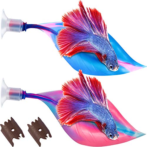 Blue, Pink