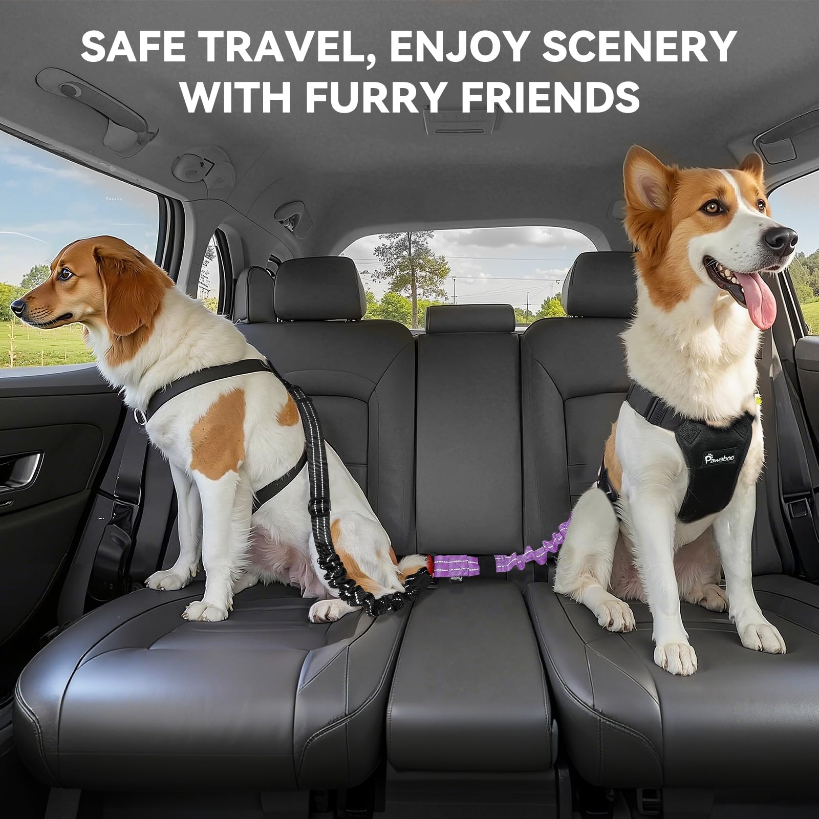 Pawaboo 2-Pack Adjustable Reflective Dog Car Seat Belt with Shockproof Bungee, 360° Lockable Buckle & Hook Latch - Purple | Safe Pet Travel Harness for Cars, SUVs & Road Trips | Perfect for Small to Medium Dogs