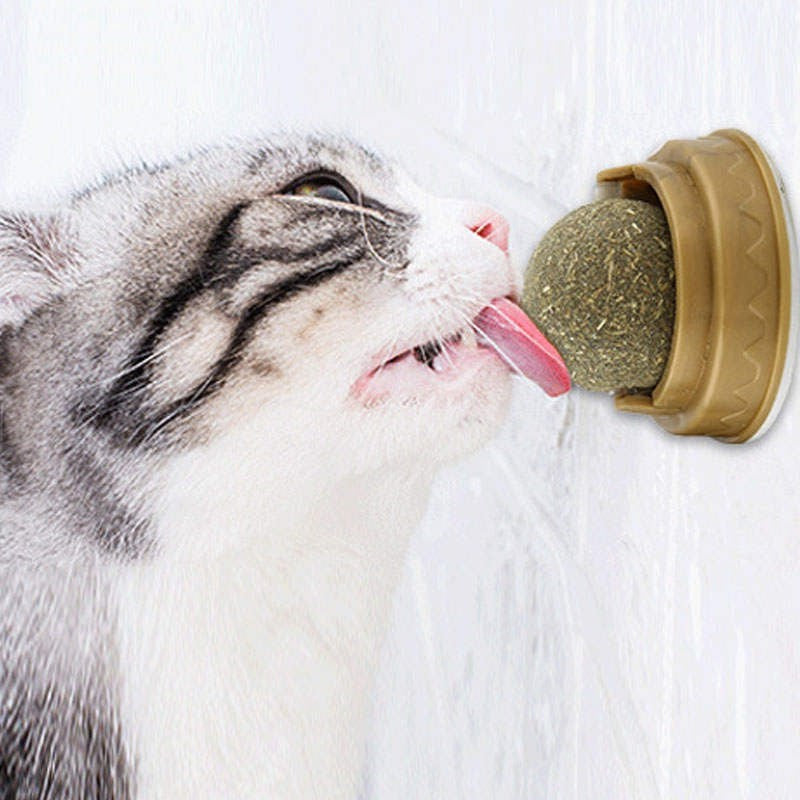 Organic Hypoallergenic Catnip Ball Toy for Cats - Fun Interactive Play & Stress Relief for Indoor Kitties
