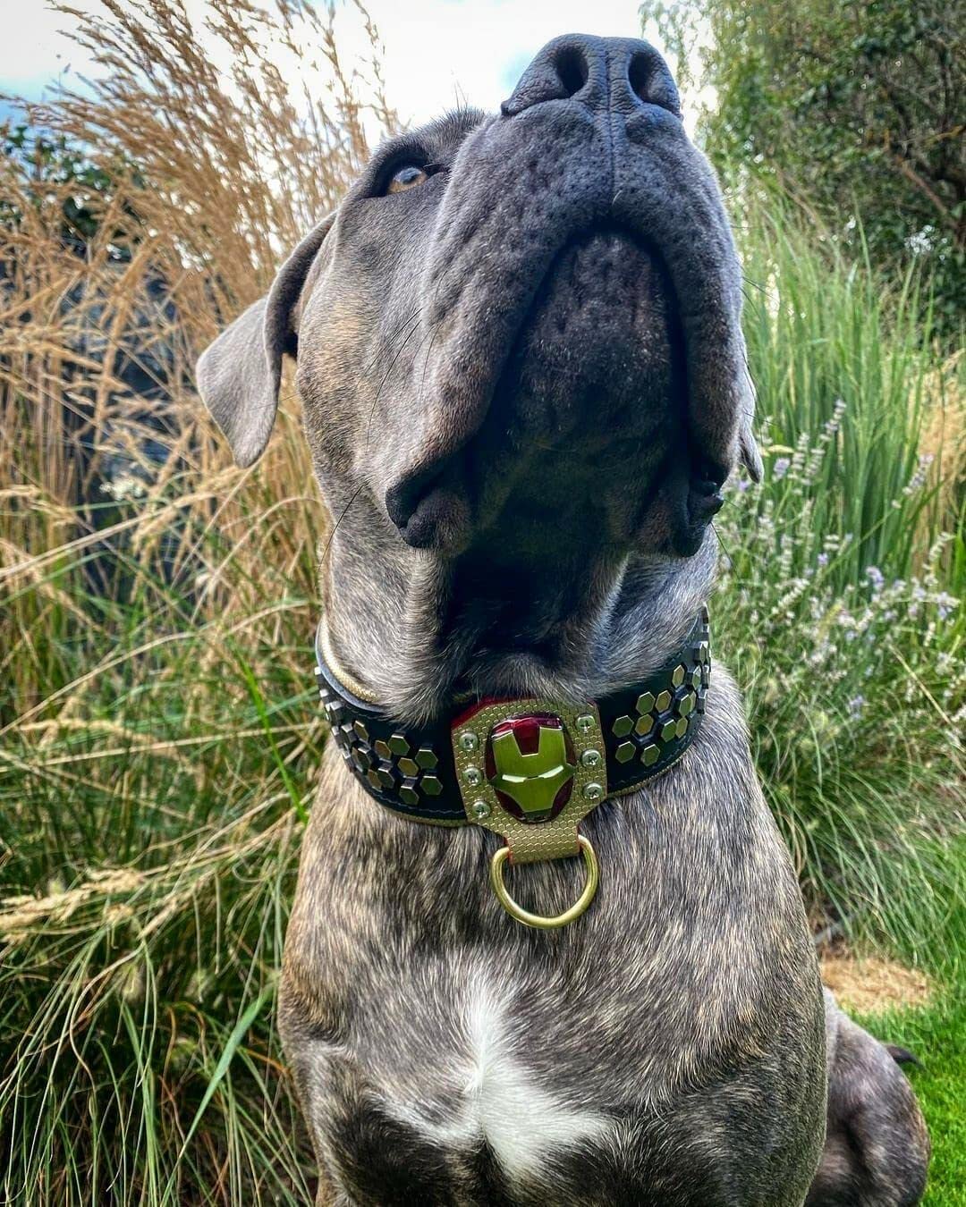 Iron Man Leather Dog Collar for Large Breeds - Durable & Stylish Pet Accessory for Superhero Fans - Perfect for Cosplay, Halloween & Daily Walks