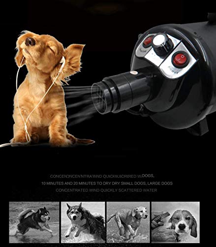 Professional Pet Hair Dryer for Dogs & Cats - Portable Grooming Blower with Quick Dry Technology | Ideal for Large & Small Breeds, Home & Professional Use | Perfect for Grooming Salons, Pet Owners & Travel (Black)