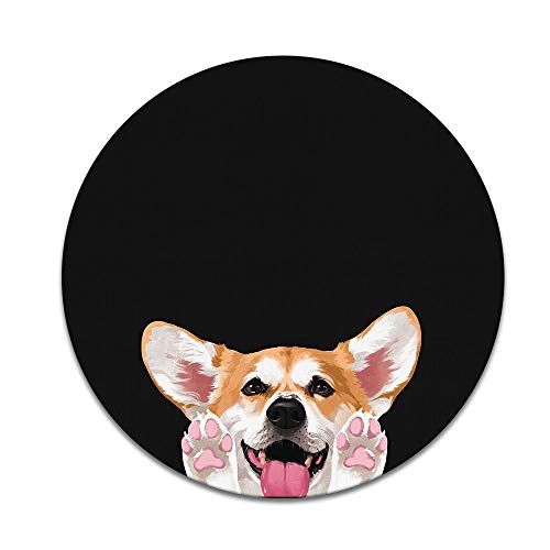 Red Pembroke Welsh Corgi