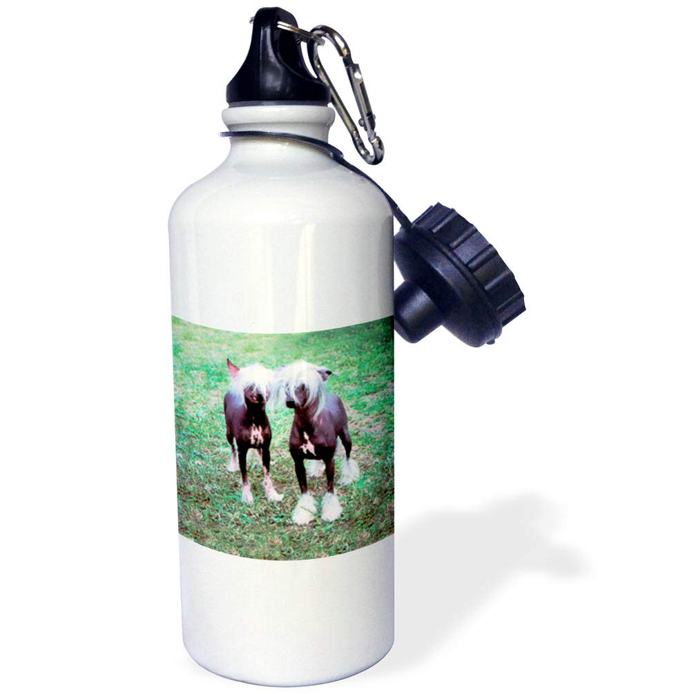 3D Rose Chinese Crested Hairless Dog Sports Water Bottle - 21 oz, White - Perfect for Gym, Hiking & Outdoor Activities
