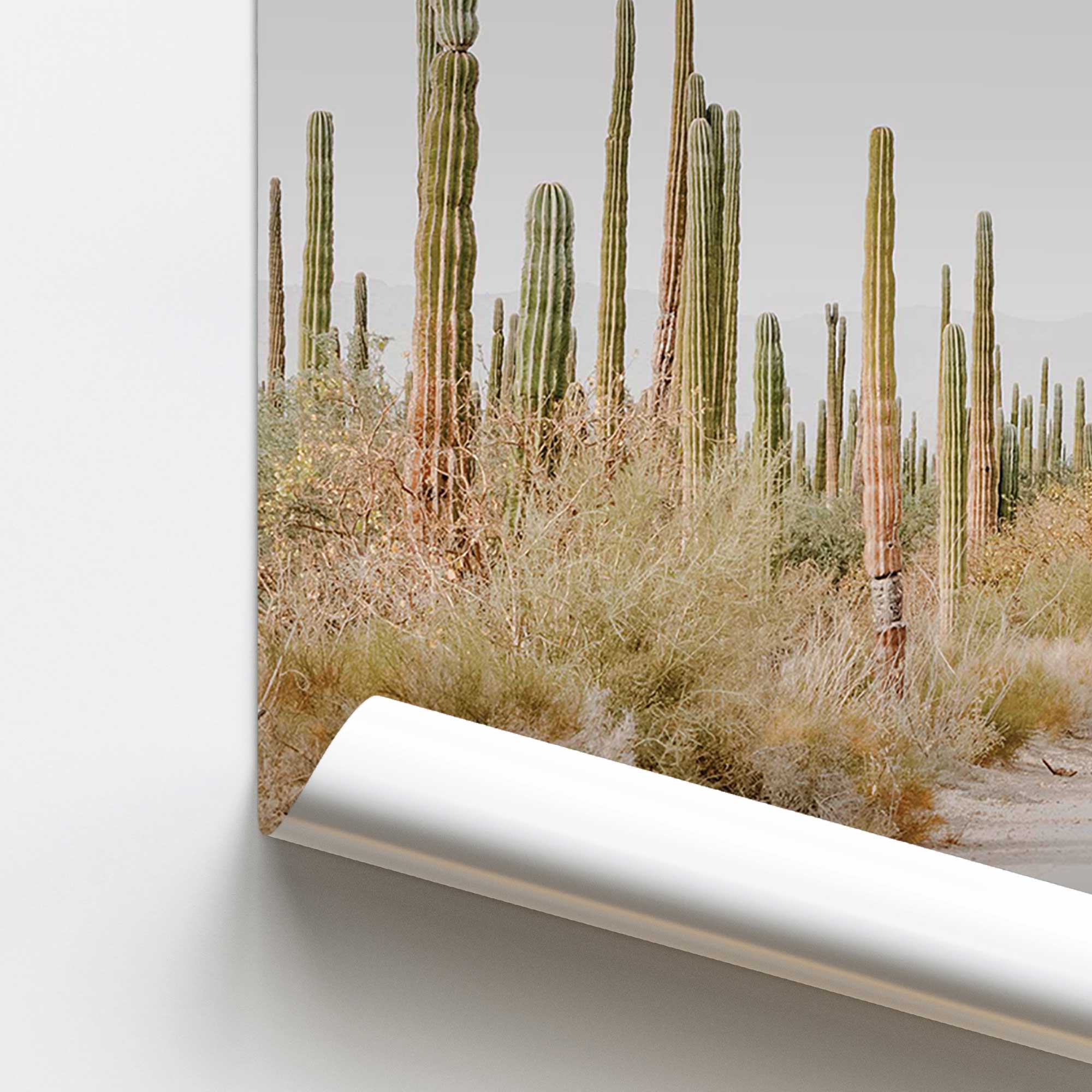 Desert Tranquility Wall Art Print - Scenic Landscape Poster for Home & Office Decor - Perfect for Living Room, Bedroom or Workspace