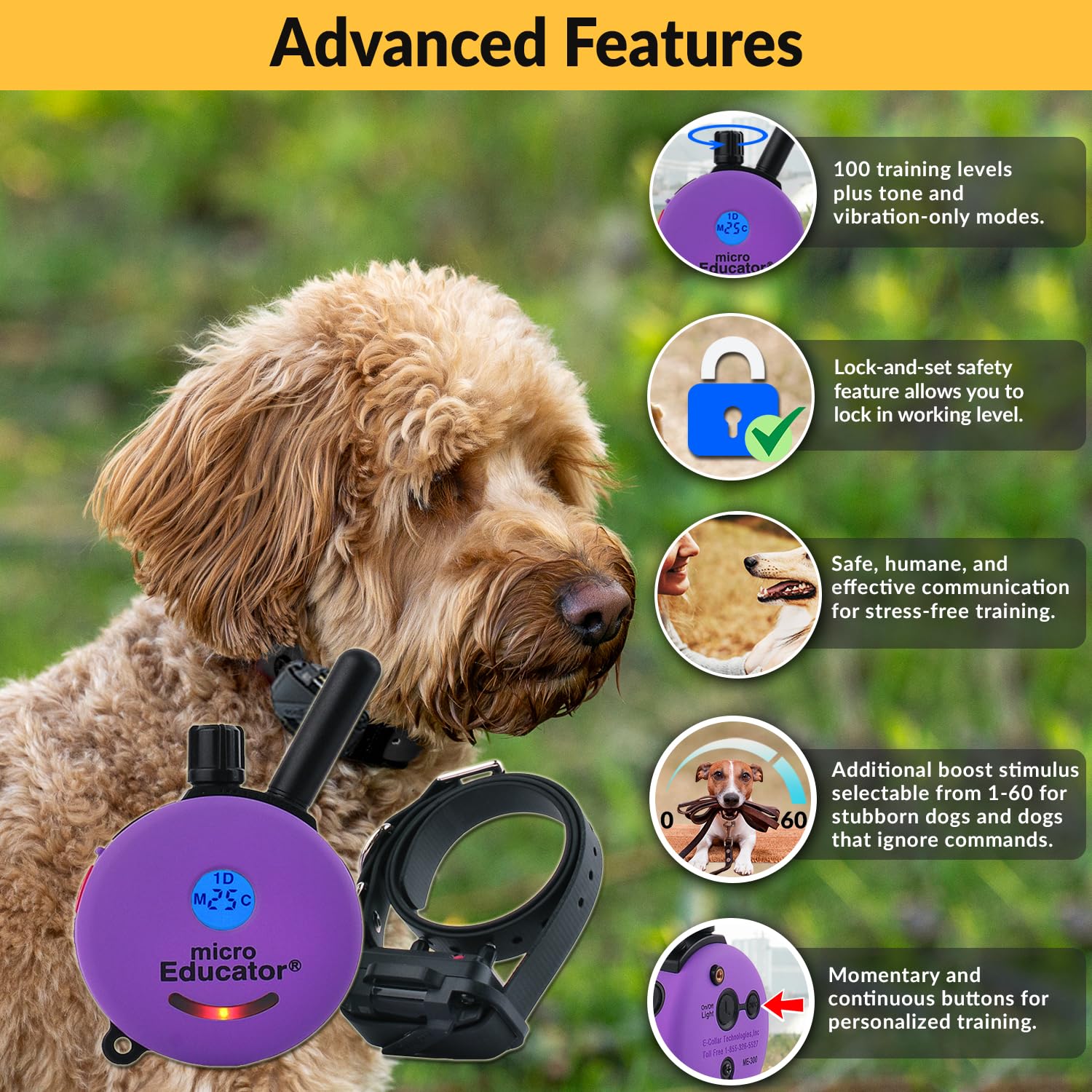 Humane Dog Training Collar with Remote - Educator E-Collar for Small Dogs | 100 Safe Stimulation Levels, Waterproof, Rechargeable, Night Light | 1/3 Mile Range | Perfect for Obedience Training, Behavior Correction & Night Walks (Purple)
