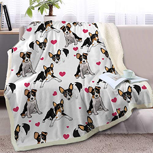 Rat Terrier