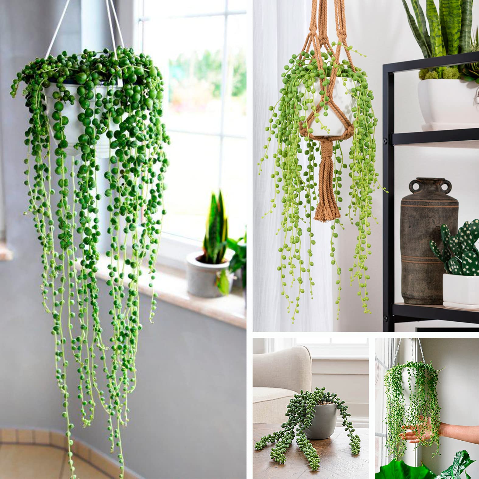 3 Pack Artificial String of Pearls Plants - Fake Hanging Succulent Decor for Home, Office, Wedding & Garden | Perfect for Indoor Greenery, Shelf Decor & Boho Room Aesthetics