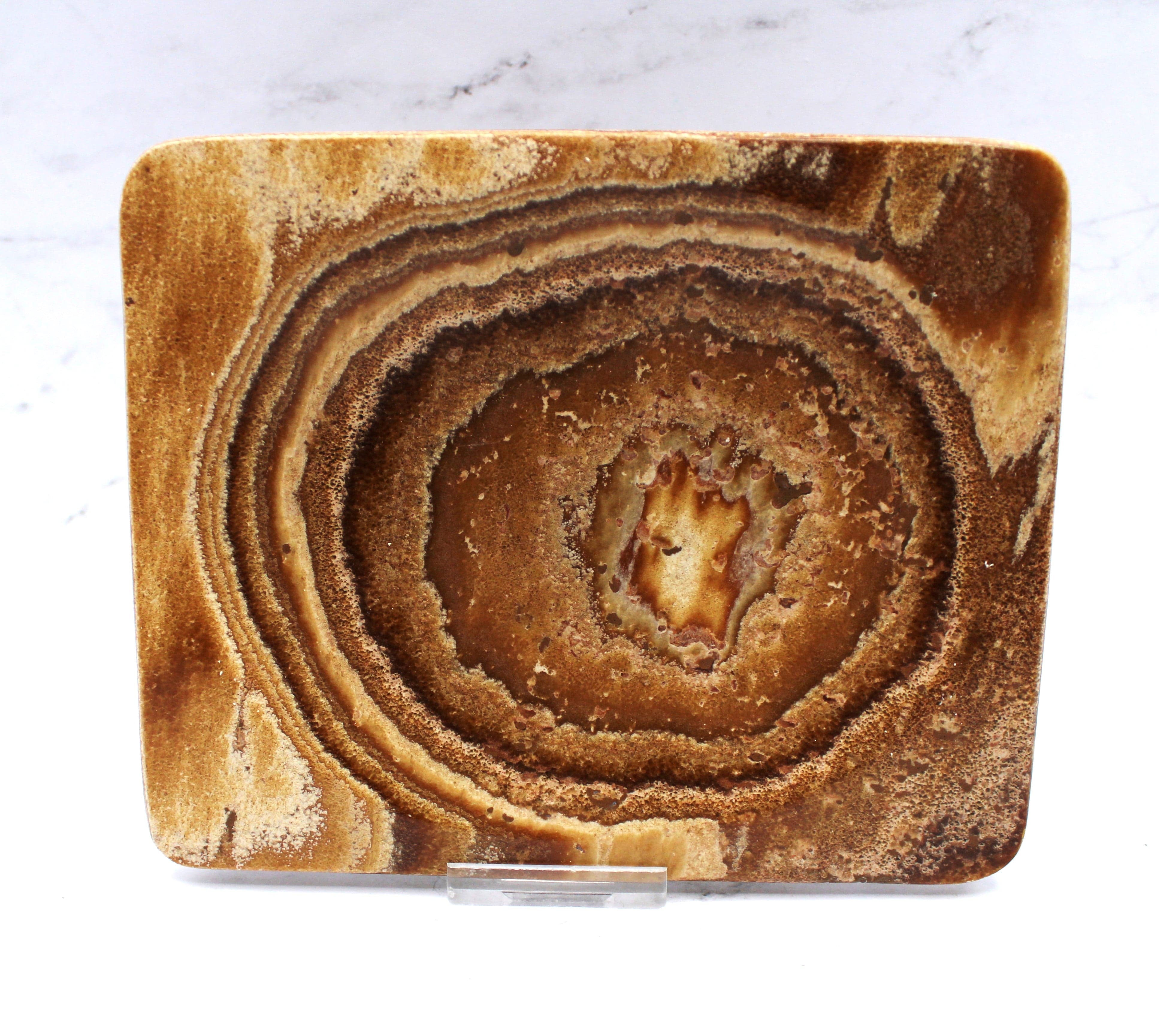 Premium Aragonite Dish 7