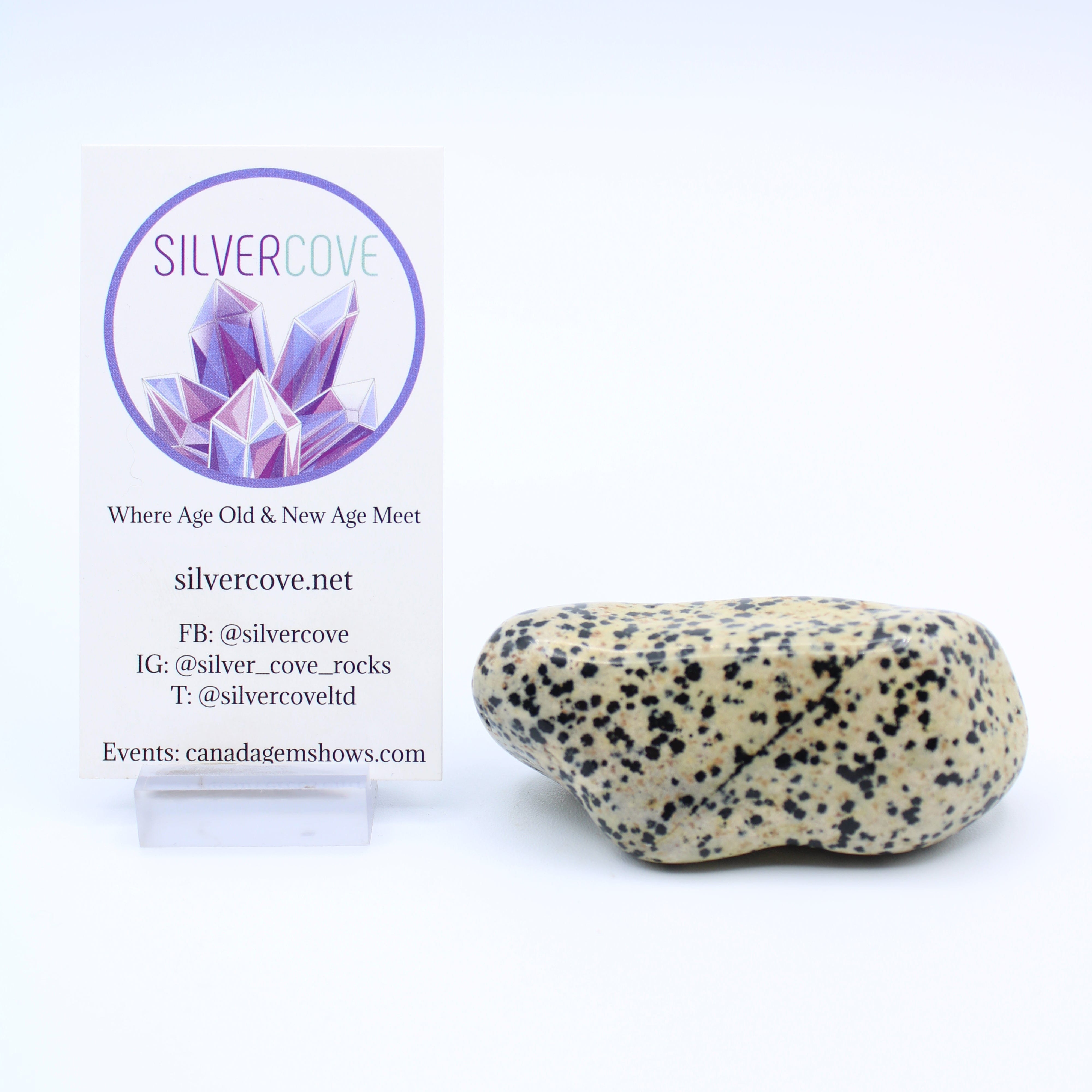 Natural Dalmatian Jasper Free Form Stone - Healing Crystal for Meditation, Home Decor & Spiritual Energy - Perfect for Yoga, Reiki & Positive Vibes