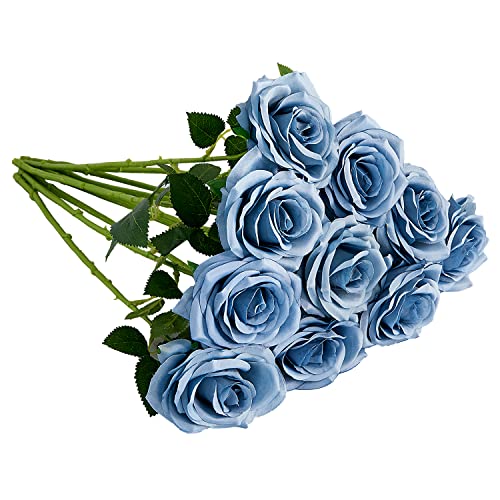 Dusty Blue