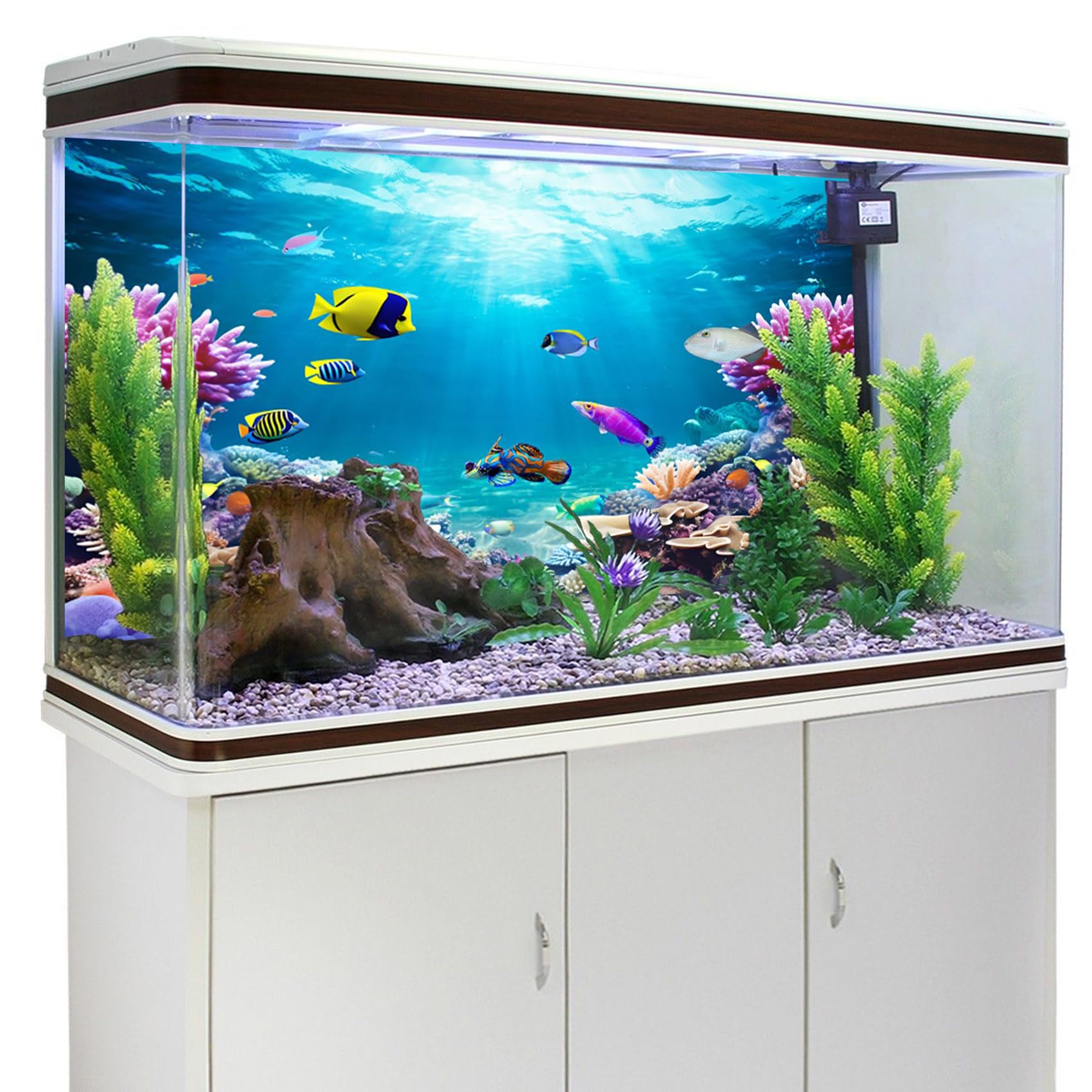 36x24 Inch Aquarium Background - Coral Seaweed Reef Rock Tropical Fish Underwater Scene for Fish Tanks, Reptile Terrariums & Bearded Dragon Habitats | Vibrant Underwater Sea World Backdrop for Home & Office Decor