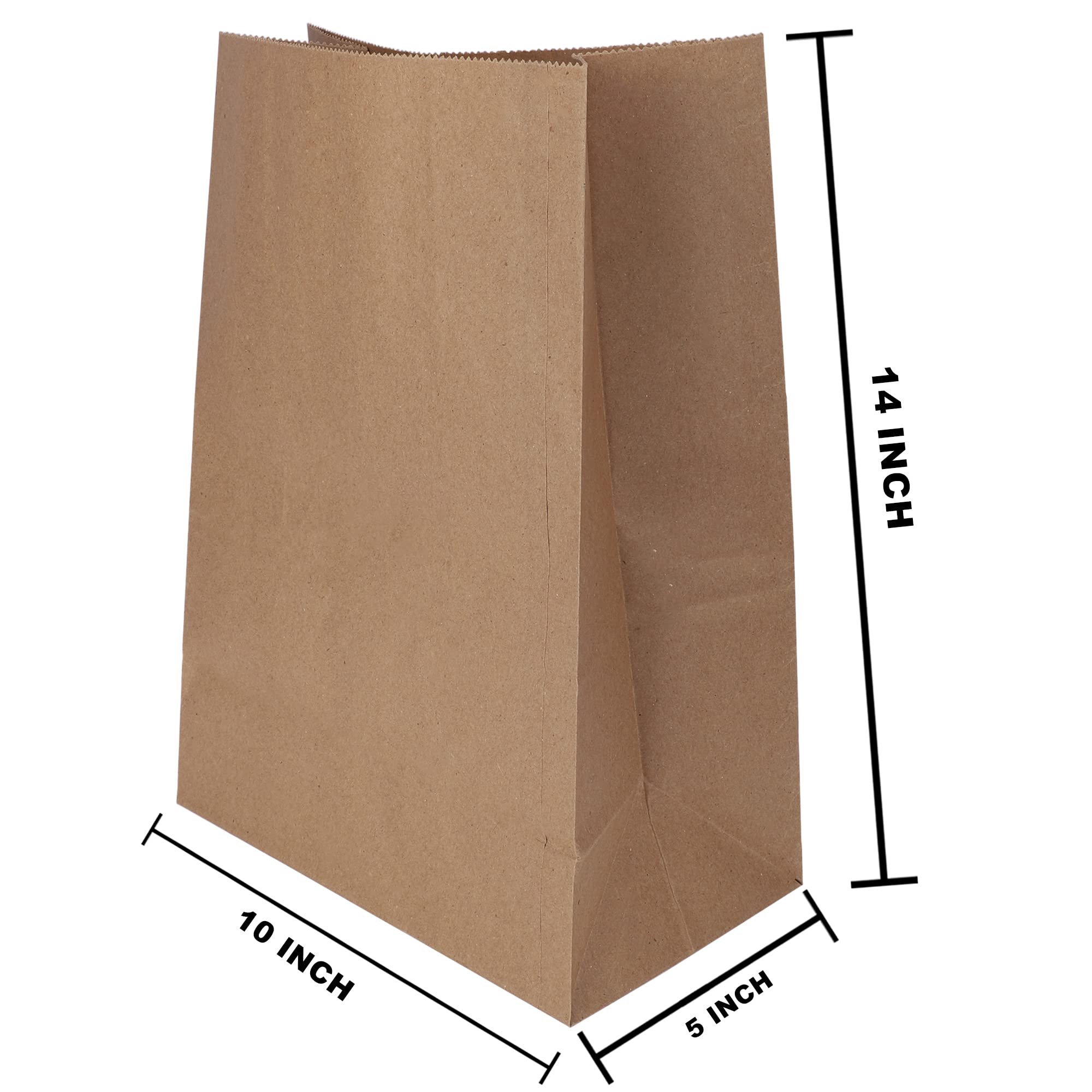 Eco-Friendly Brown Kraft Paper Bags - 10x5x14 Inches, Pack of 15 | Recycled Carry/Gift/Grocery Bags for Shopping, Parties & Sustainable Packaging