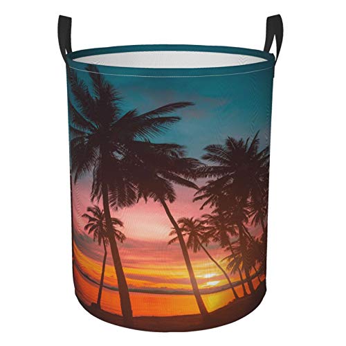 Coconut Palm Trees
