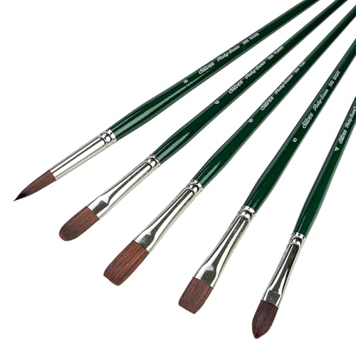 Size 6 Variety Set