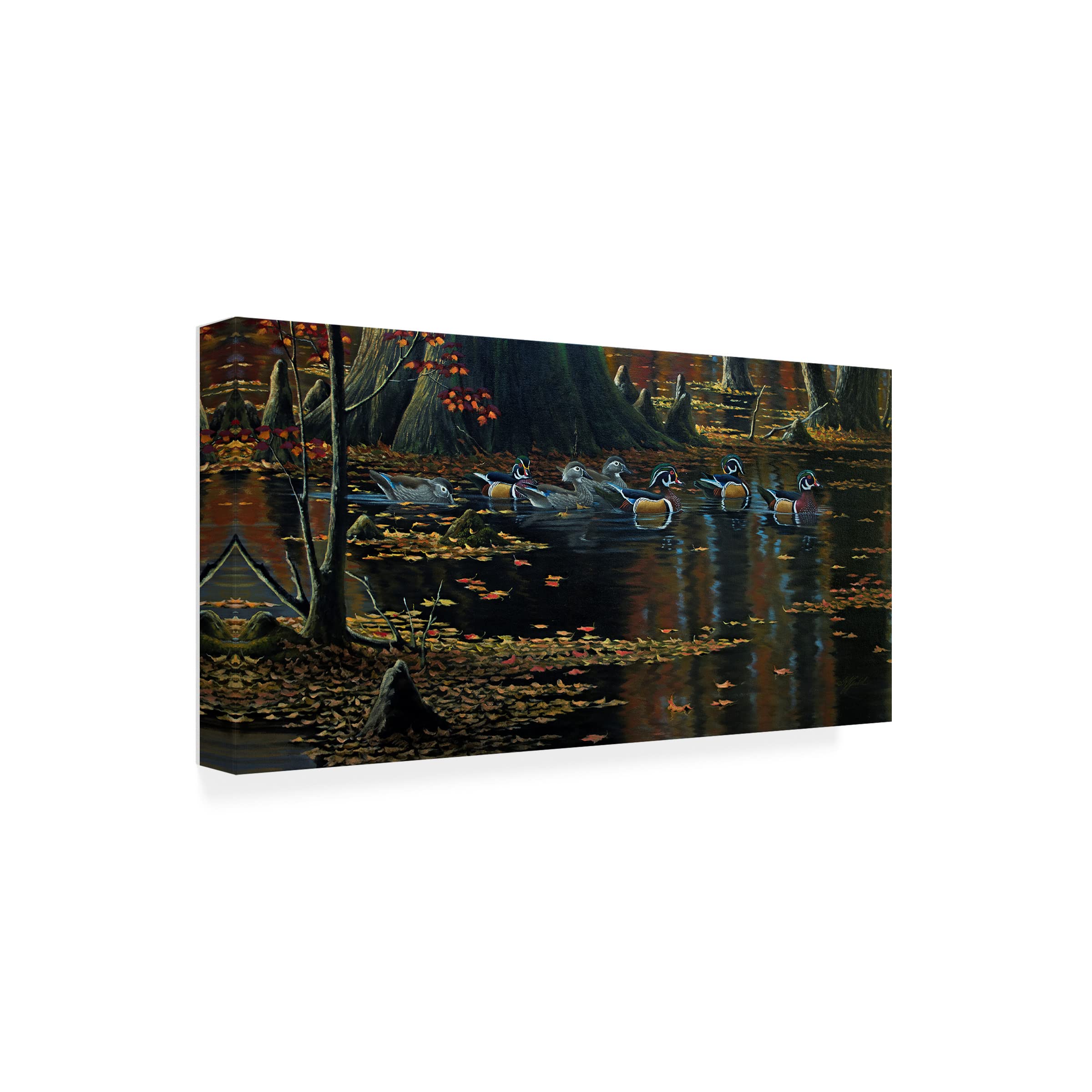Trademark Fine Art 'Cypress Jewels Wood Ducks' Canvas Wall Art by Wilhelm Goebel - Hand-Painted Duck Painting for Living Room, Bedroom & Office Decor