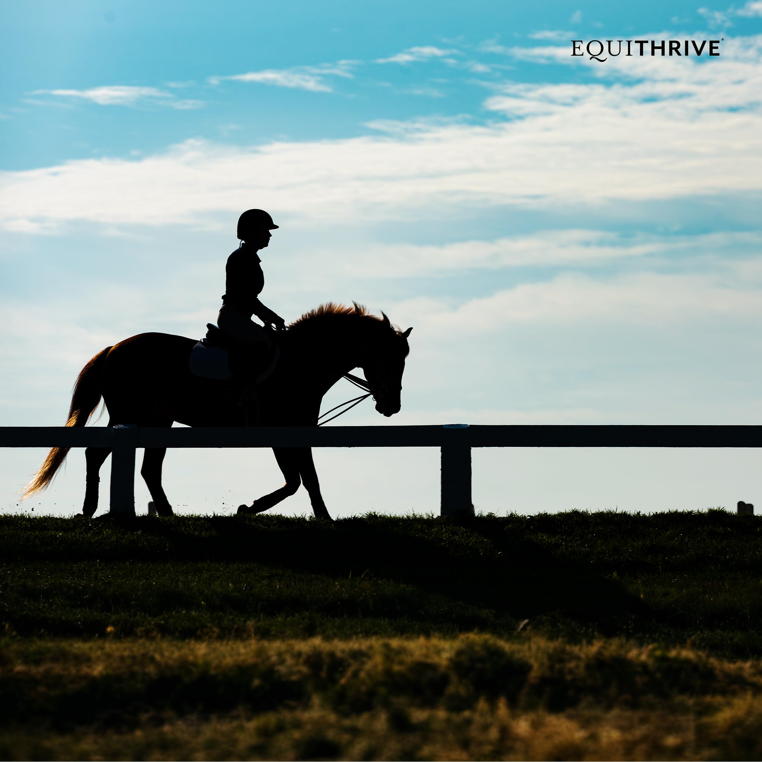 Equithrive Classic Joint Supplement Pellets for Horses - Glucosamine, Chondroitin, Hyaluronic Acid & MSM Formula - Supports Joint Health & Mobility for Senior & Active Horses (10 lb) - Ideal for Training, Recovery & Daily Joint Care