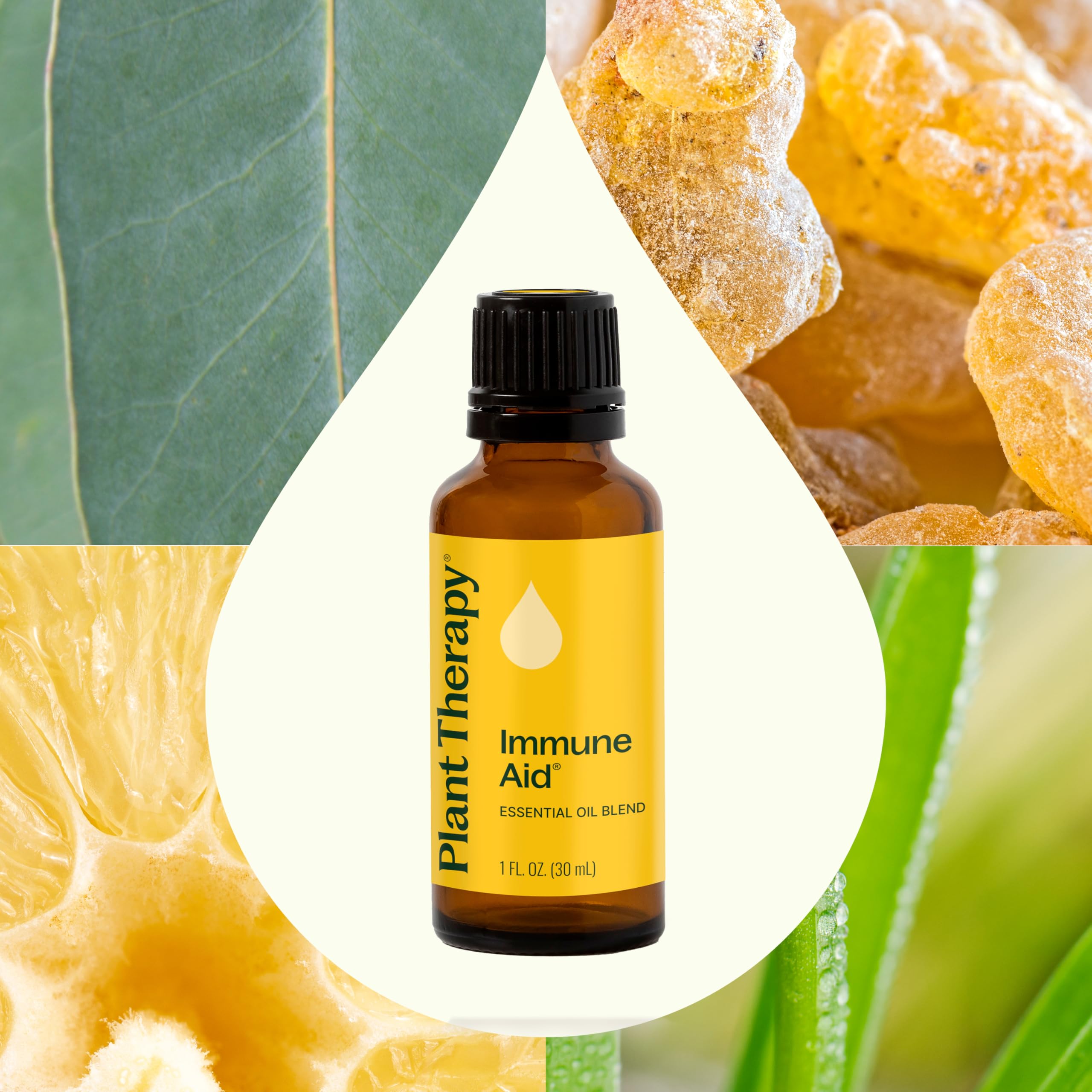 Plant Therapy Immune Aid Essential Oil Blend 30 mL (1 oz) - 100% Pure, Undiluted, Therapeutic Grade Aromatherapy Oil for Boosting Immunity, Stress Relief & Home Diffuser Use