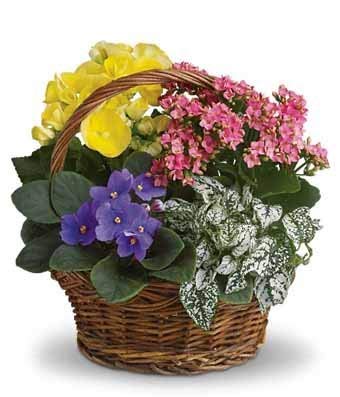 Same Day Sympathy Flowers Delivery - Funeral Flowers & Memorial Gifts - Fresh Sympathy Plants & Bouquets for Condolences - Perfect for Funeral Services, Memorials & Expressing Sympathy