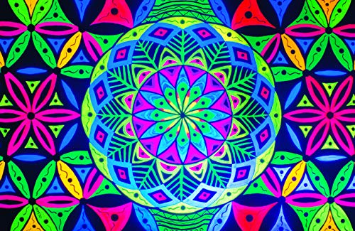 Geo Garden
