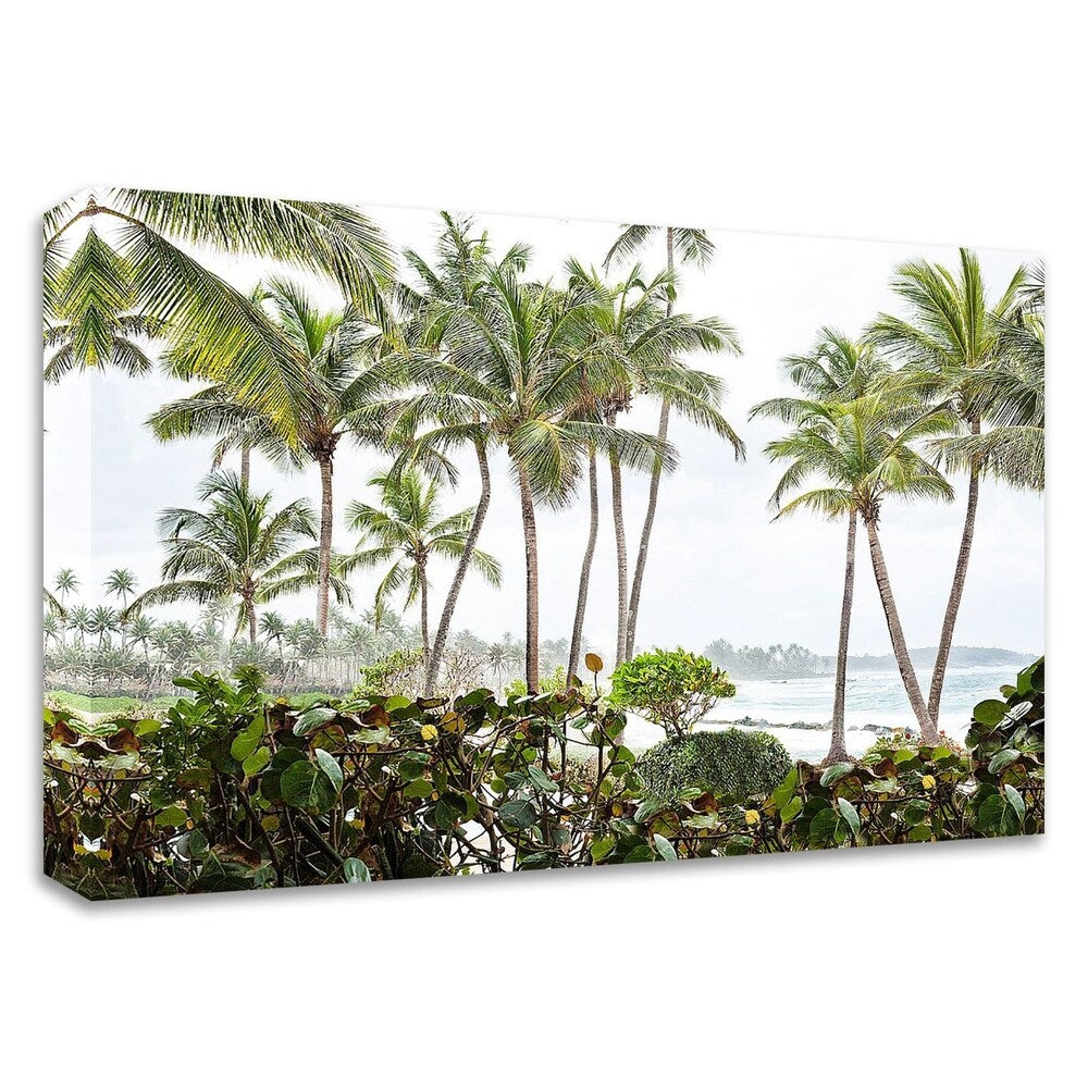 After the Dorado Rain by Golie Miamee - Premium Canvas Wall Art Print - Ready to Hang - Modern Home & Office Decor for Living Room, Bedroom or Gallery