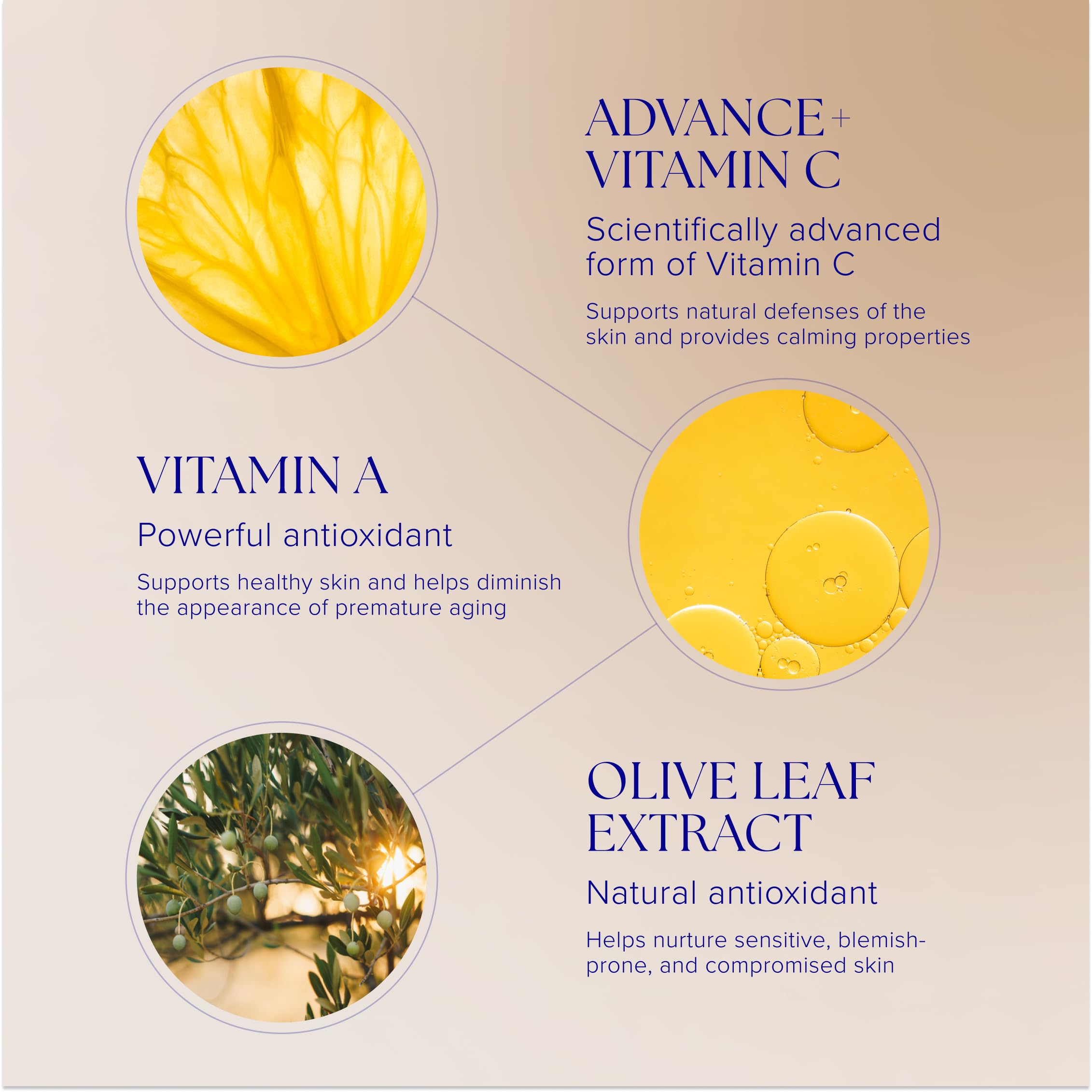 Pro-Heal Serum Advance+ - Antioxidant-Rich Vitamin C, E & A Serum for Redness, Rosacea & Inflammation Relief | Perfect for Sensitive Skin & Daily Skincare Routine
