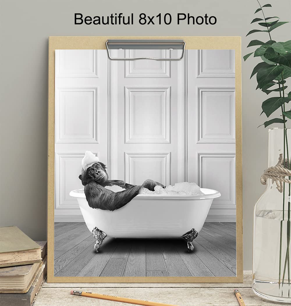 Funny Bathroom Wall Art for Men & Women - Modern Monkey Chimp Decor Sign - Unique 8x10 Powder Room Poster - Perfect for Guest Bathrooms, Restrooms & Home Decor