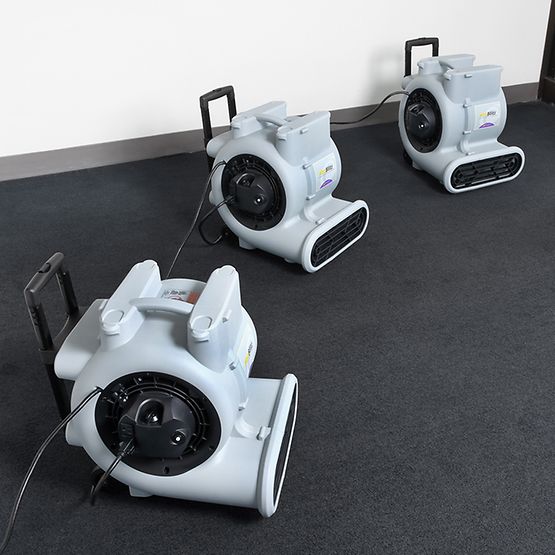 ProTeam 107596 ProBlitz XP Air Mover with Telescoping Handle & Daisy Chain - High Velocity Industrial Fan for Water Damage Restoration, Drying Floors & Ventilation