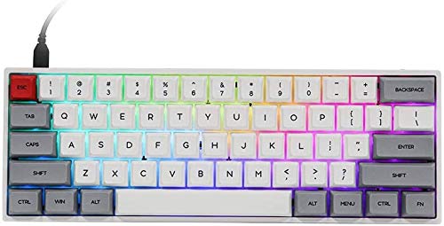 Heywood SK61 60% Compact Hot-Swappable Wired Mechanical Gaming Keyboard - Gateron Optical Black Switches, RGB Backlit, N-Key Rollover for Windows & Mac (Classic Grey) - Perfect for Esports, Coding & Office Work
