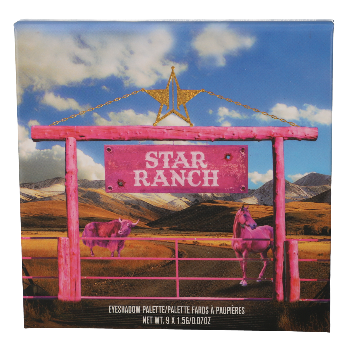 Palette Mini Star Ranch - Premium Ranch Dressing for Salads, Sandwiches & Dipping | Perfect for Home, Restaurants & Catering