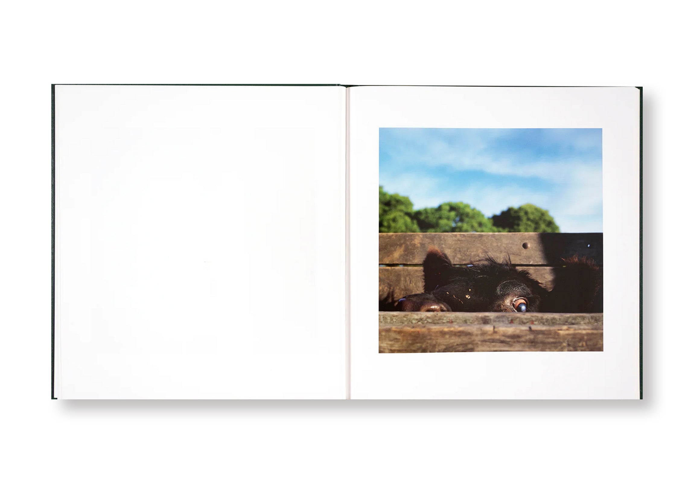ON THE SIXTH DAY by Alessandra Sanguinetti - Photography Book, Art Book, Contemporary Photography - Perfect for Art Lovers, Photography Enthusiasts, and Coffee Table Decor
