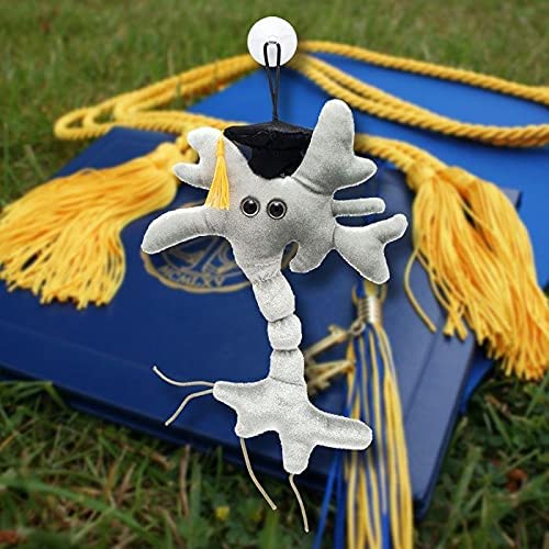 GIANTmicrobes Graduation Brain Cell Plush Toy - Class of 2025 Graduation Gift for Nurses, Medical Students & Science Lovers | Cute Stuffed Animal for Graduation Parties, Office Decor & College Dorm