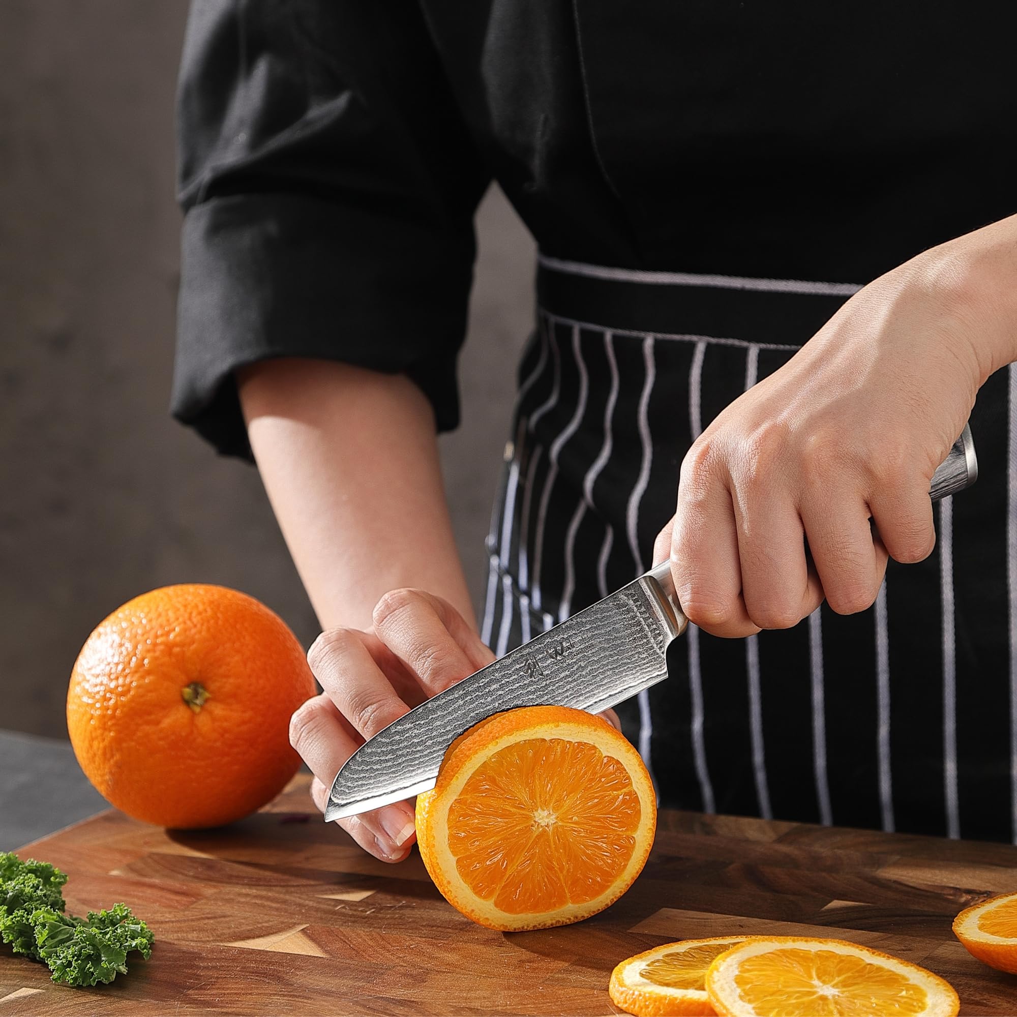 Wakoli 4-Piece Professional Damascus Kitchen Knife Set - 67-Layer Genuine Damascus Steel with VG10 Core, Ergonomic Pakkawood Handles - Perfect for Chefs, Home Cooking & Meat Cutting