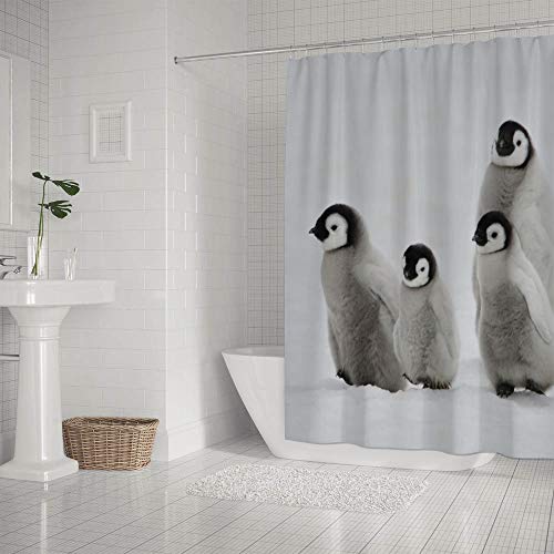 Penguins01